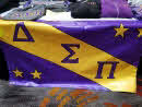 Delta Sigma Pi Alumni