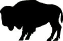 Buffalo Pin